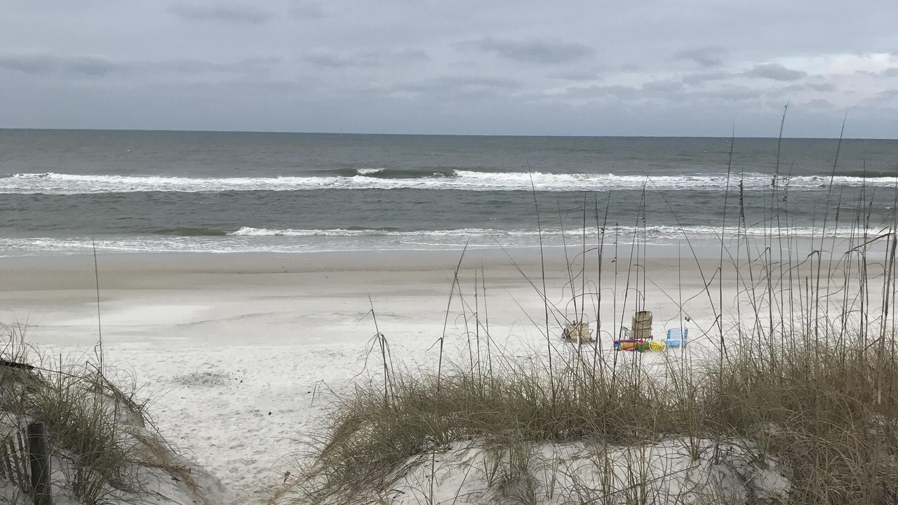 Photo of Others in Cape San Blas