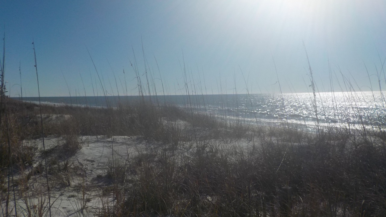Photo of Others in Cape San Blas