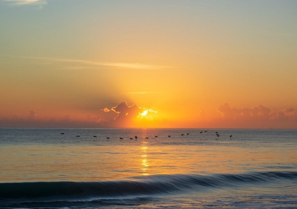 Photo of Others in Fort Pierce