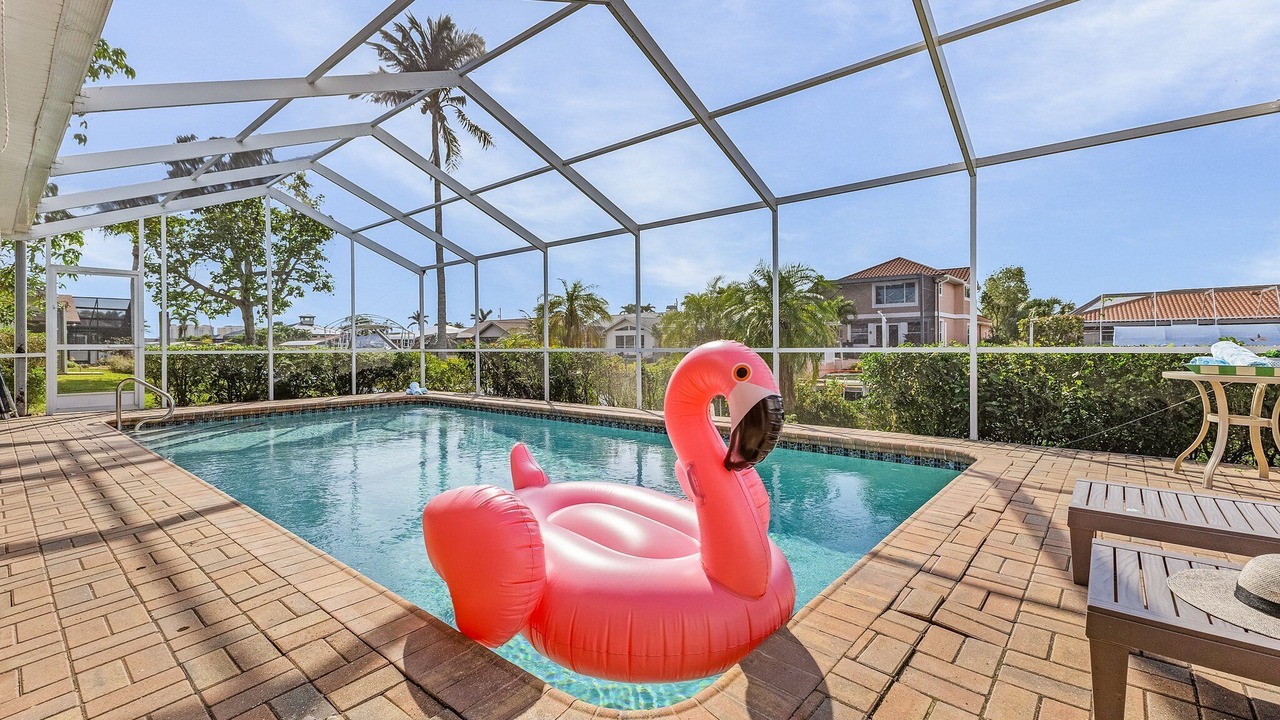 Photo of Others in Pelican