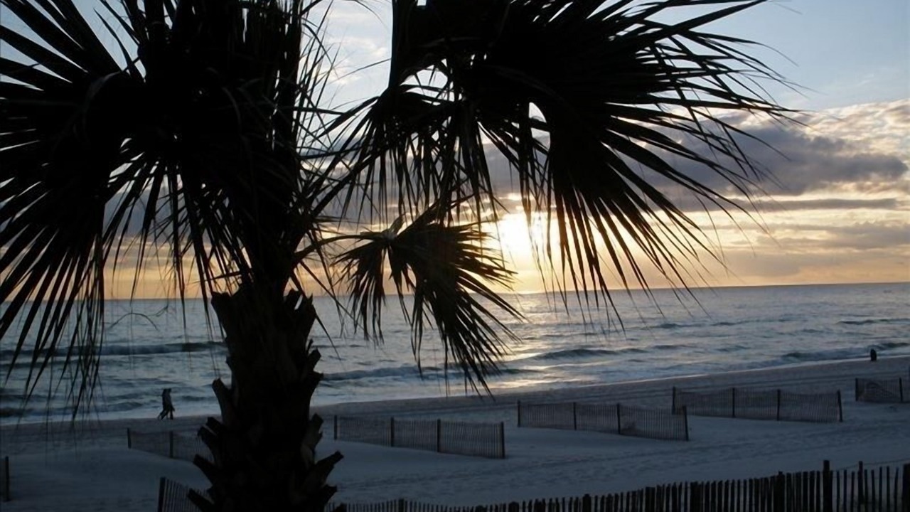 Photo of Others in West Panama City Beach