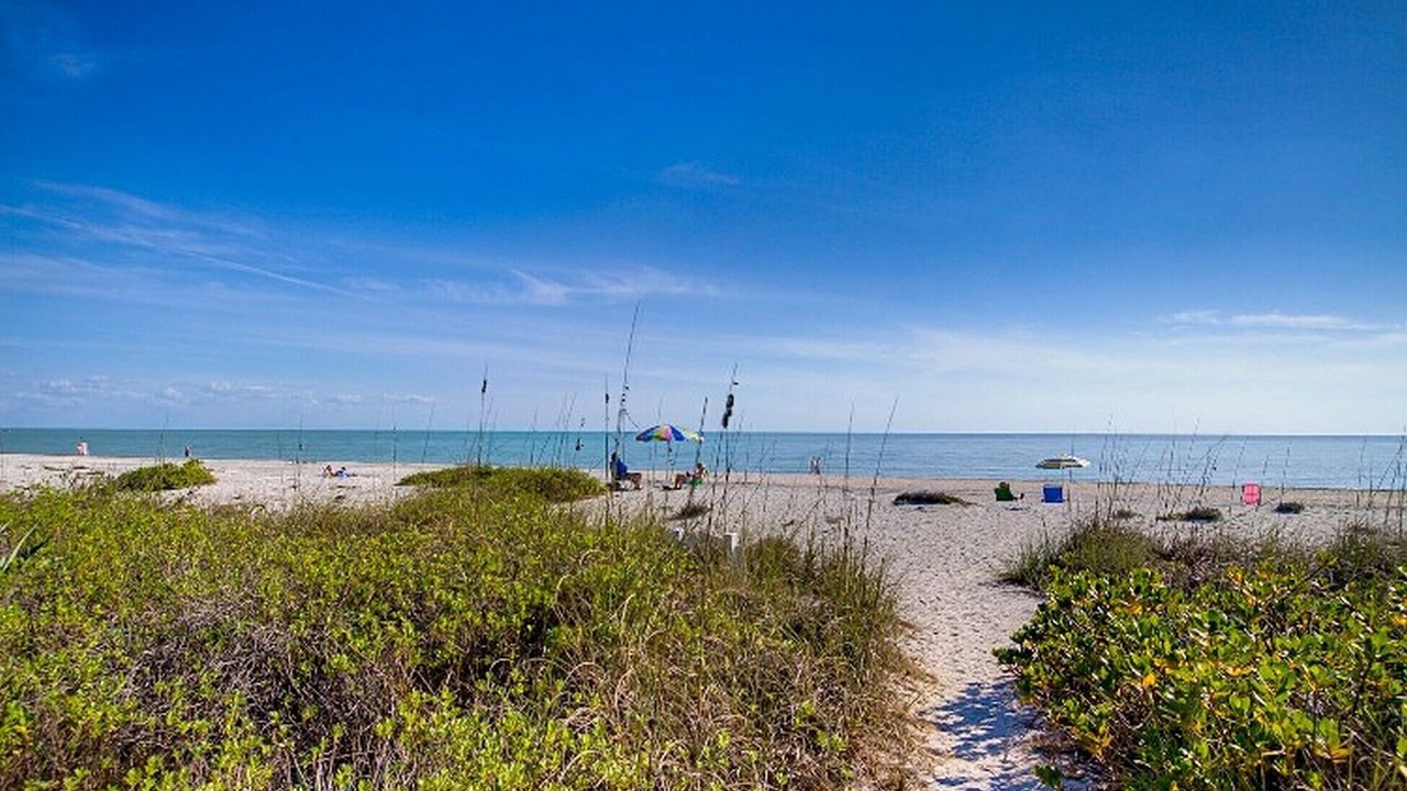 Photo of Others in Sanibel