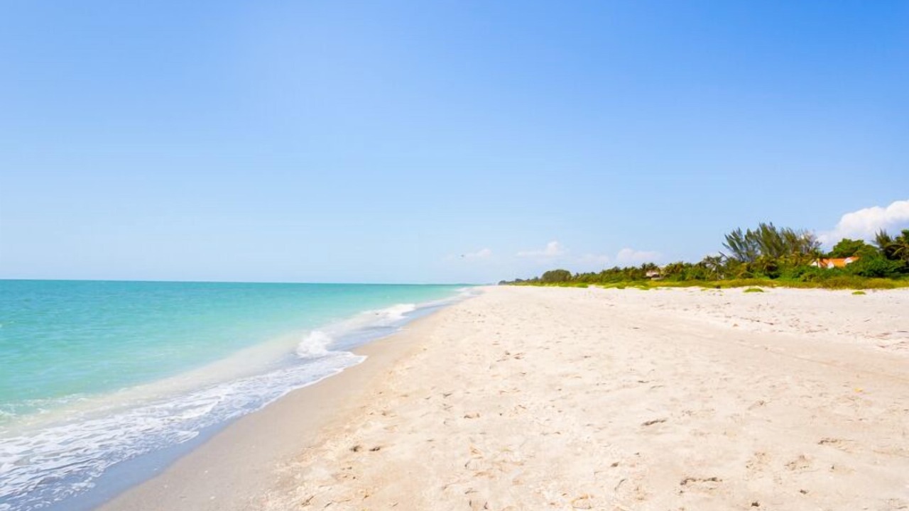 Photo of Others in Captiva