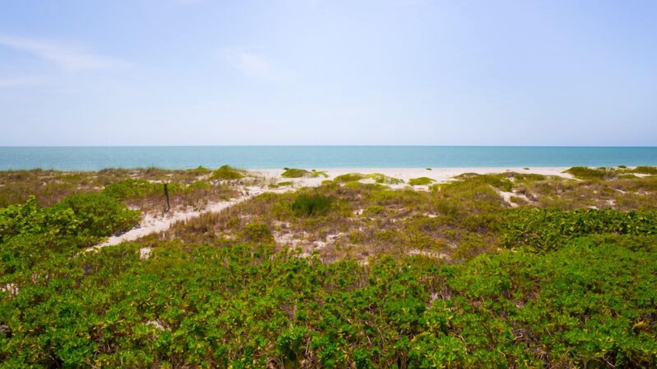 Photo of Others in Captiva