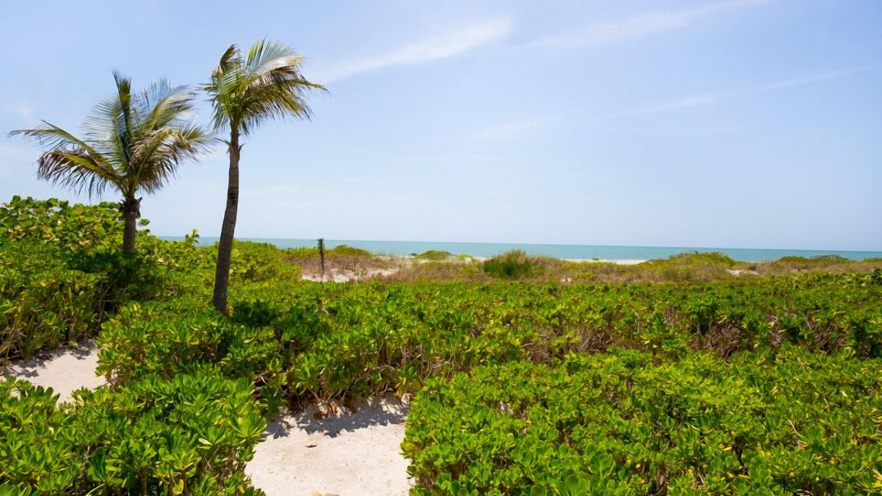 Photo of Others in Captiva