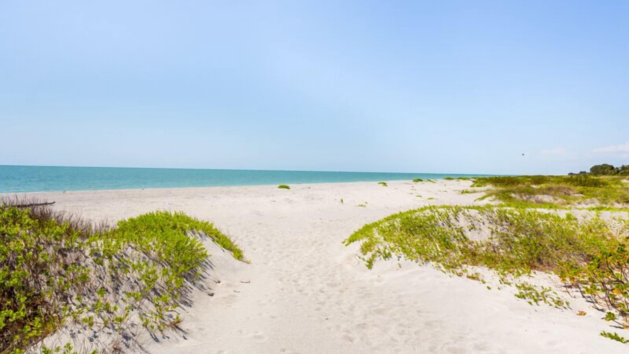 Photo of Others in Captiva