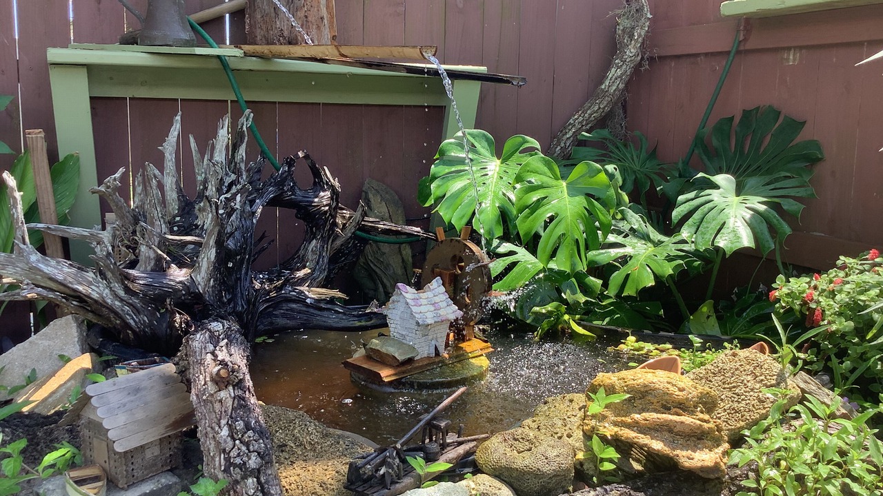 Photo of Outdoor in Vilano Beach