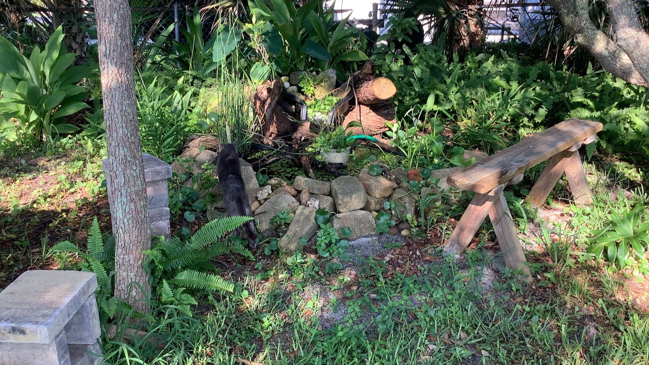 Photo of Outdoor in Vilano Beach