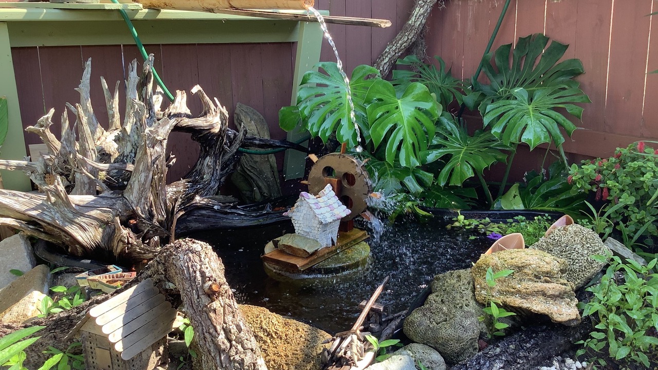 Photo of Outdoor in Vilano Beach