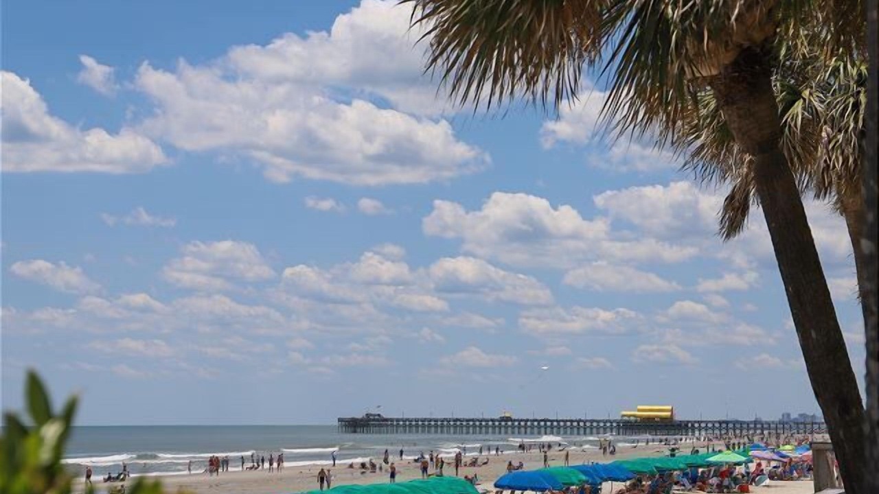 Photo of Others in Arcadian Shores