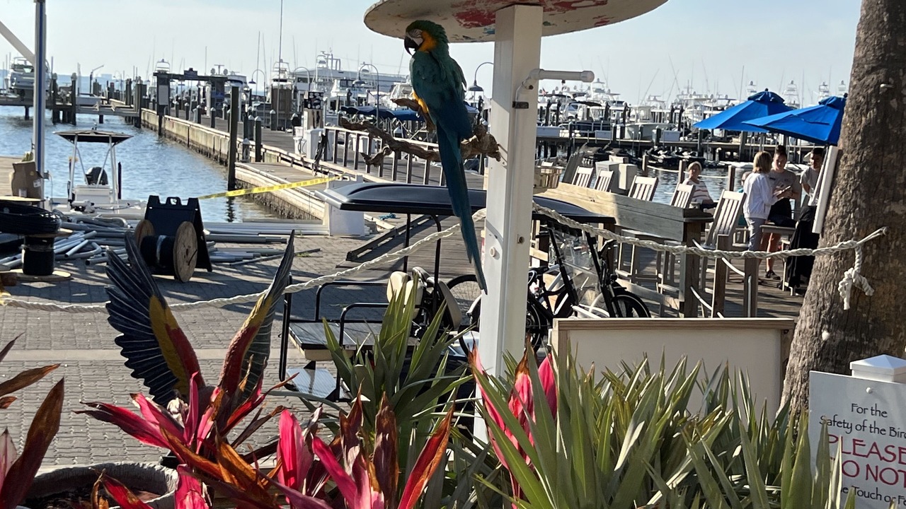 Photo of Others in Baytowne Wharf