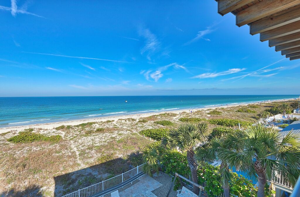 Photo of Others in Indian Rocks Beach