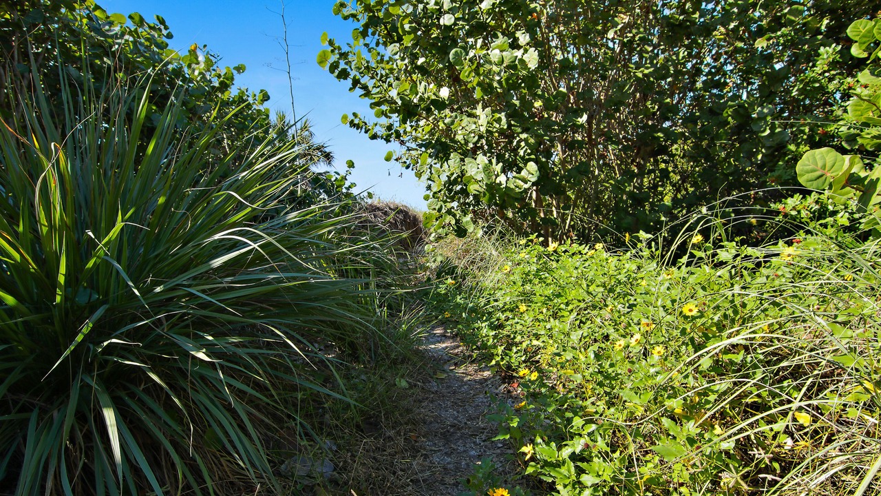 Photo of Outdoor in Pass-a-Grille