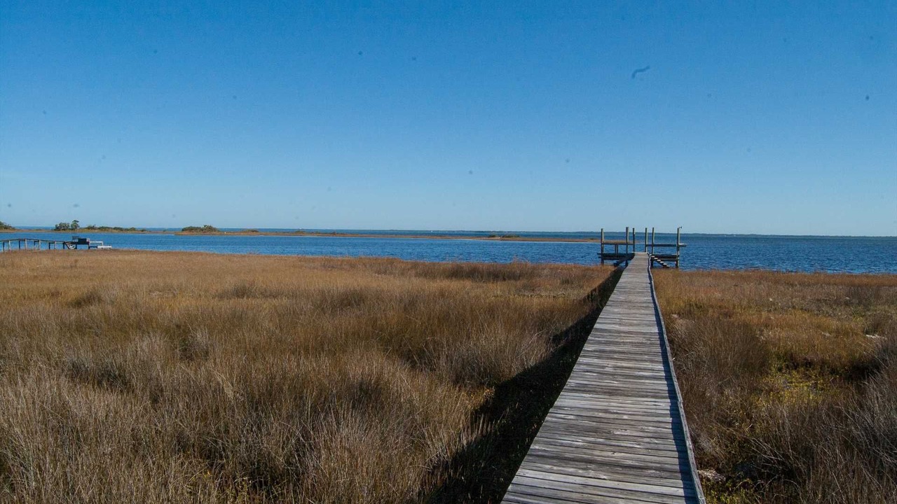 Photo of Others in Cape San Blas