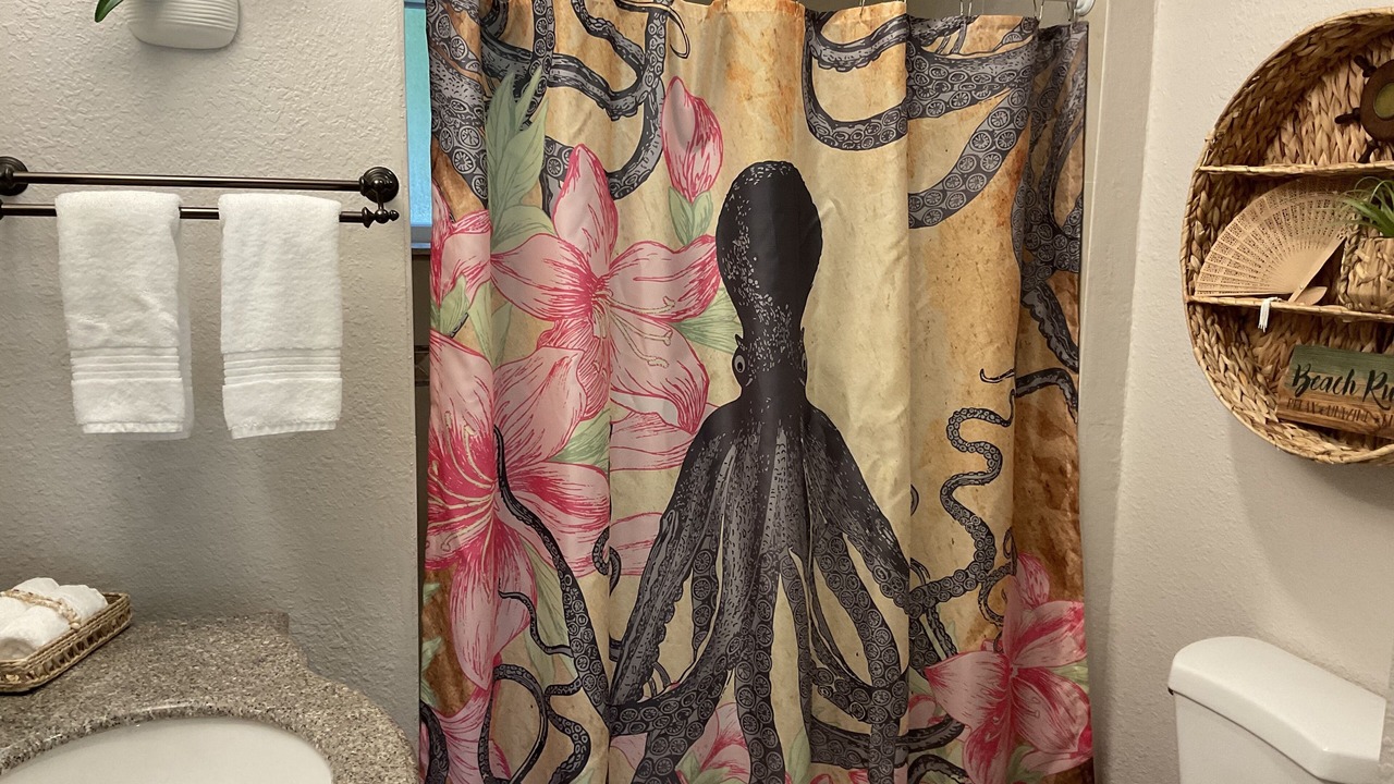 Photo of Bathroom in Palm Harbor