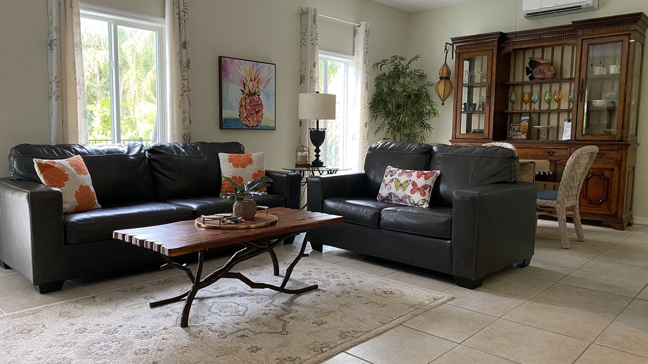Photo of Livingroom in Palm Harbor