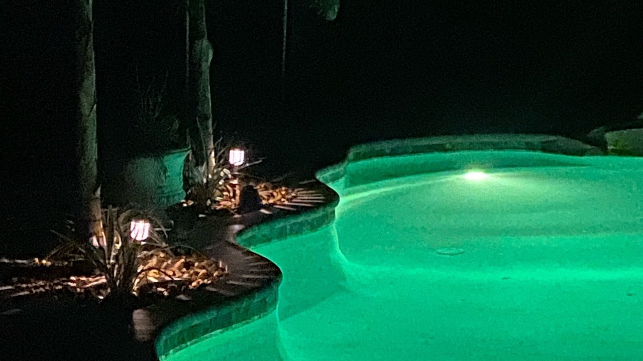 Photo of Outdoor in Palm Harbor