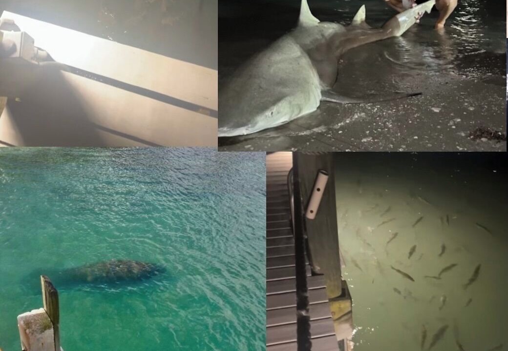Photo of Others in Fort Pierce