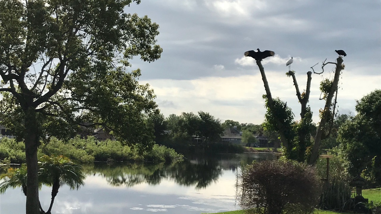 Photo of Outdoor in Land O' Lakes