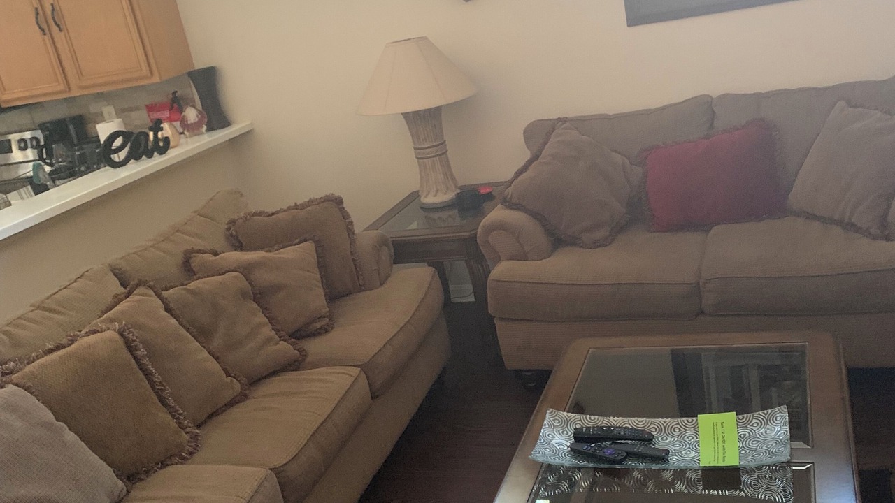 Photo of Livingroom in Land O' Lakes