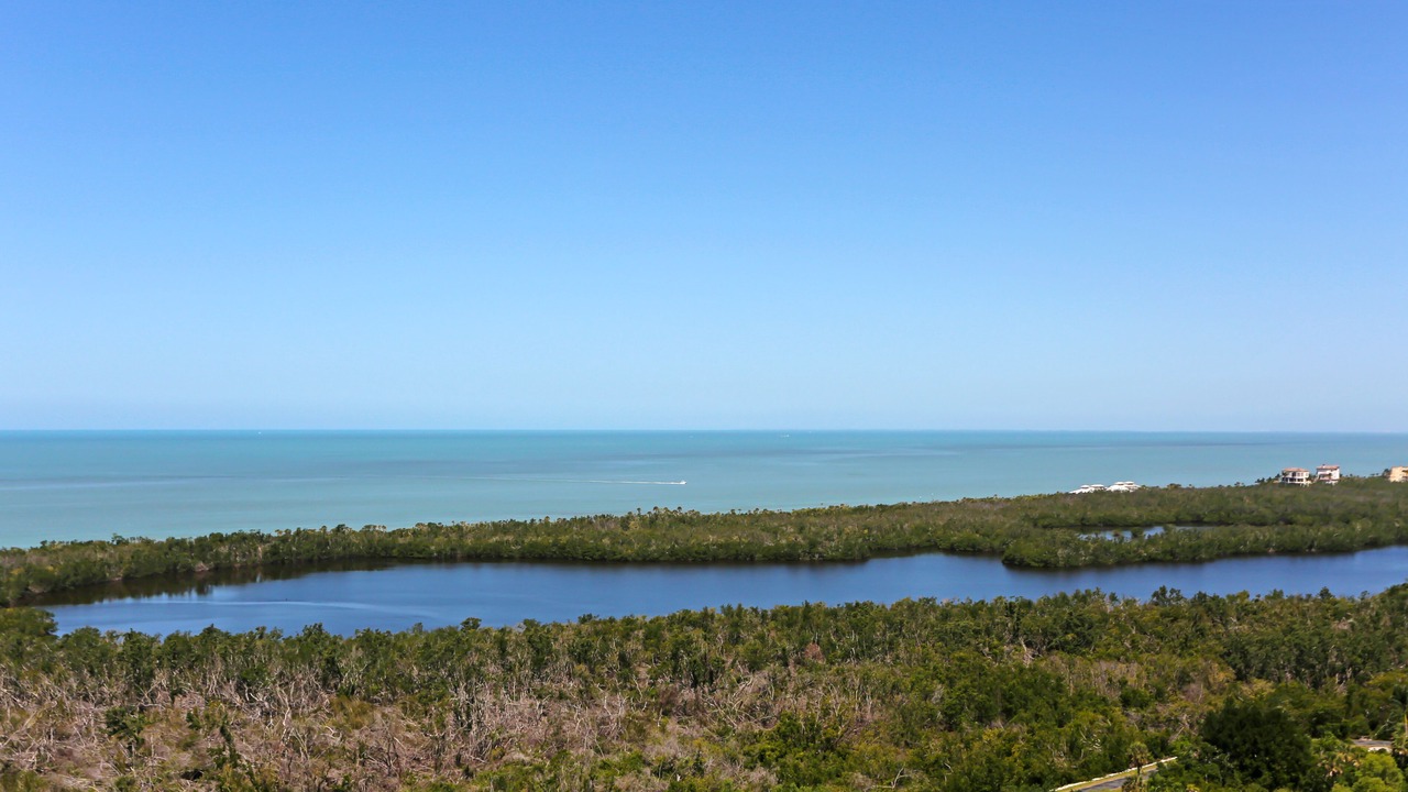 Photo of Others in Pelican Bay