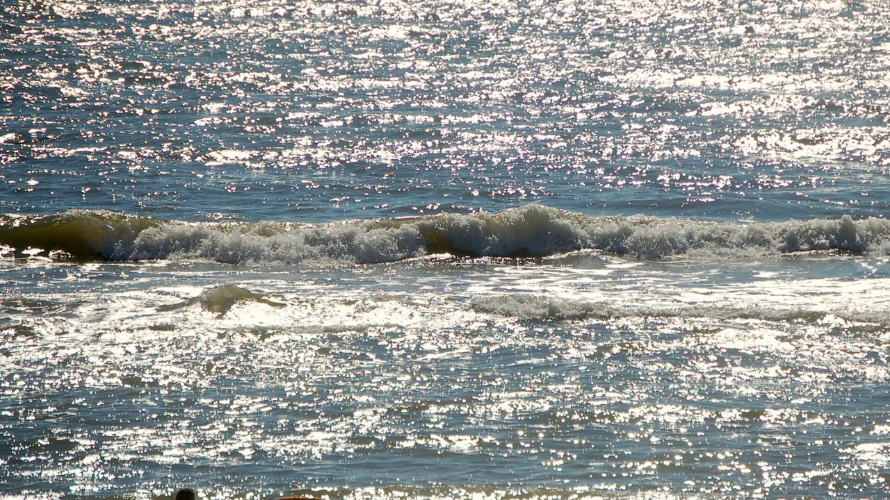 Photo of Others in Port St. Joe