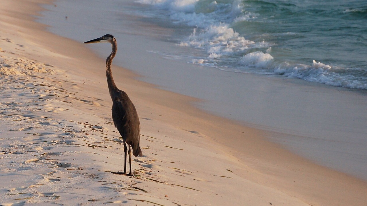 Photo of Others in Port St. Joe