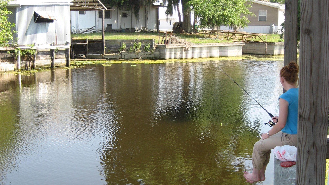 Photo of Others in Buckhead Ridge