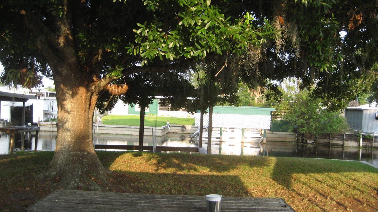 Photo of Others in Buckhead Ridge