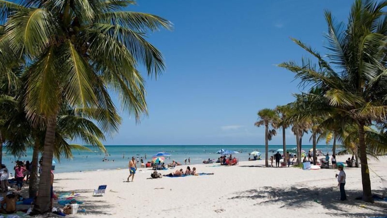 Photo of Others in Key Biscayne