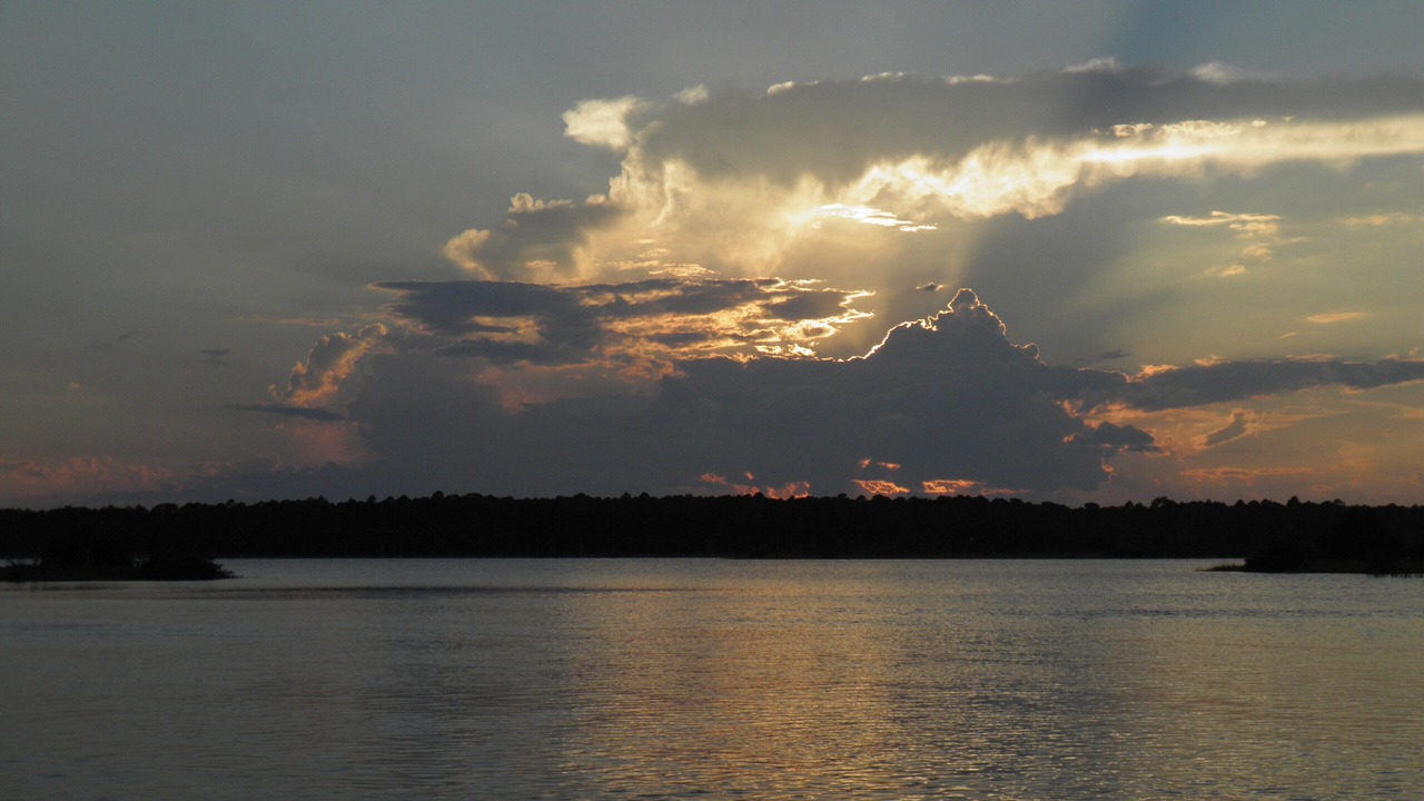 Photo of Others in Palm Harbor