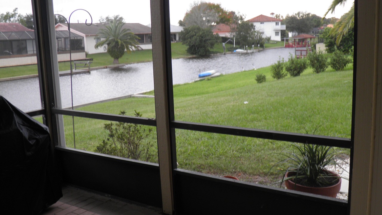 Photo of Others in Palm Harbor