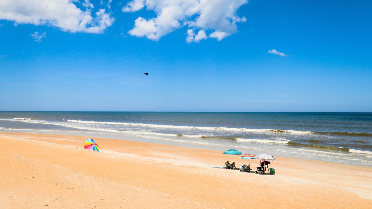 Photo of Others in Ormond-by-the-Sea