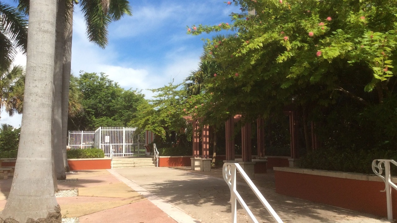 Photo of Outdoor in Key Biscayne