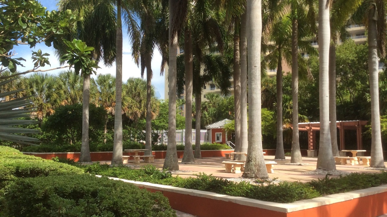 Photo of Outdoor in Key Biscayne