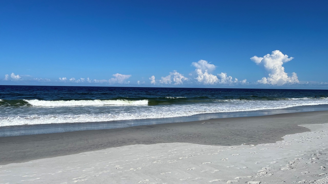 Photo of Others in Flagler Beach