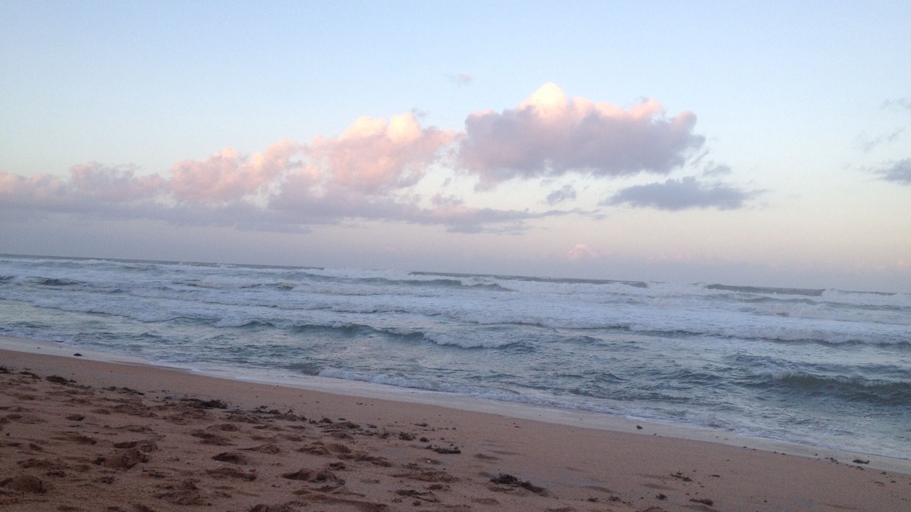 Photo of Others in Flagler Beach