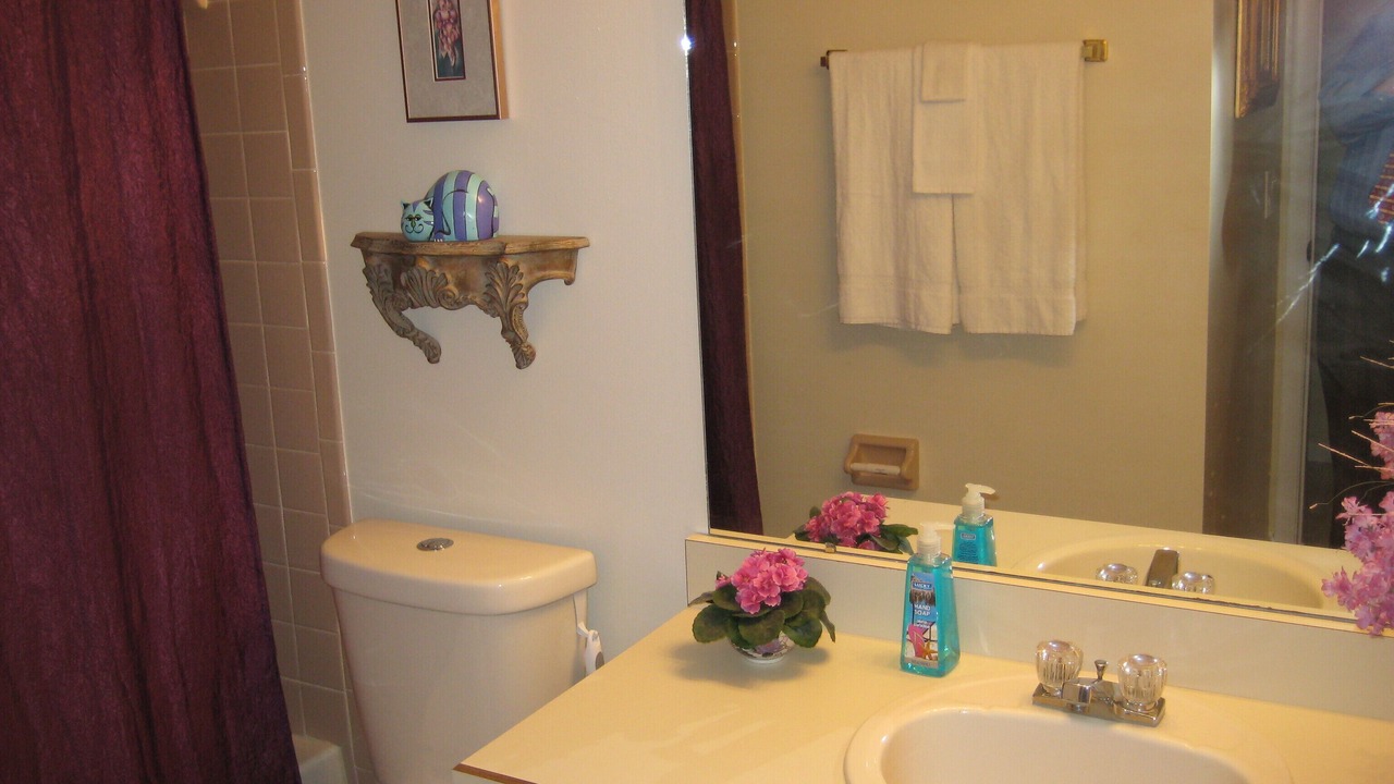 Photo of Bathroom in Palm Harbor