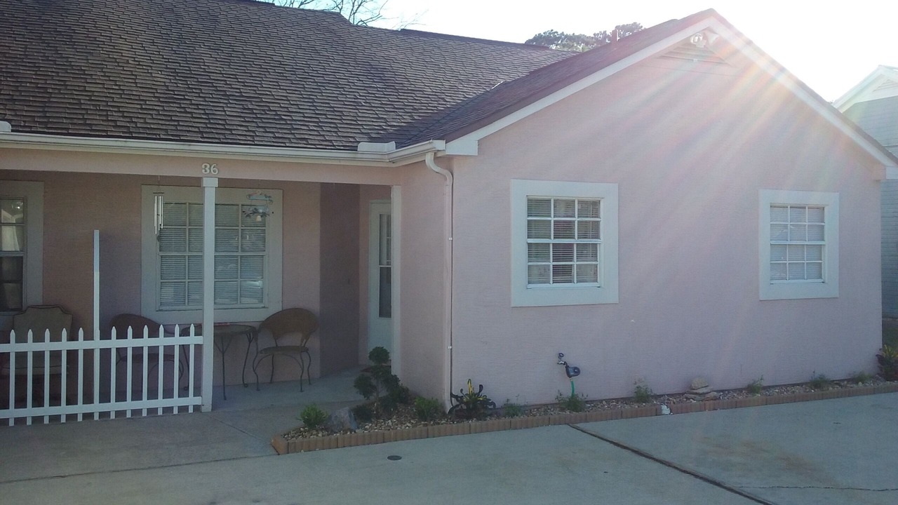 Photo of Outdoor in Palm Harbor