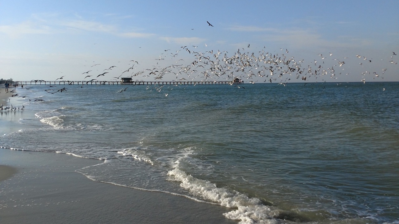 Photo of Others in Naples