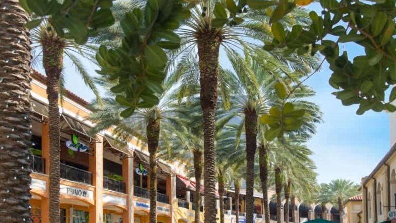 Photo of Others in Flamingo Parks
