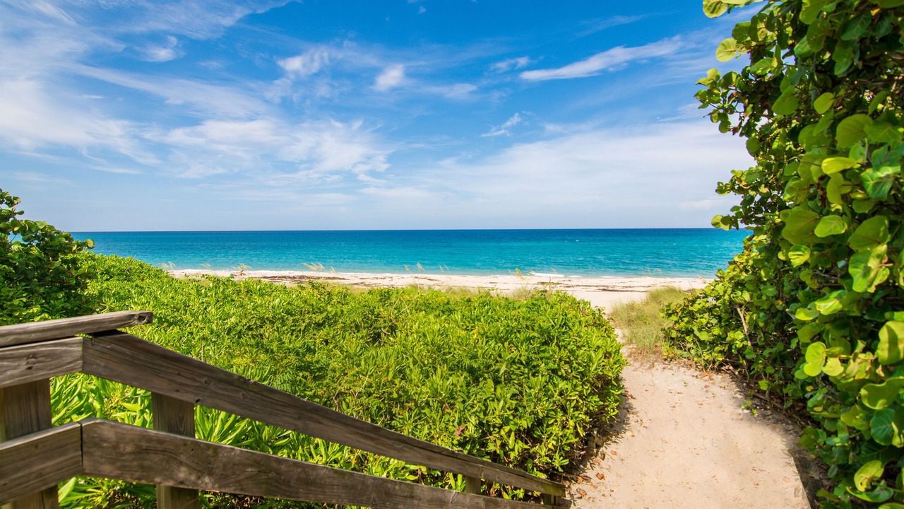 Photo of Others in Juno Beach