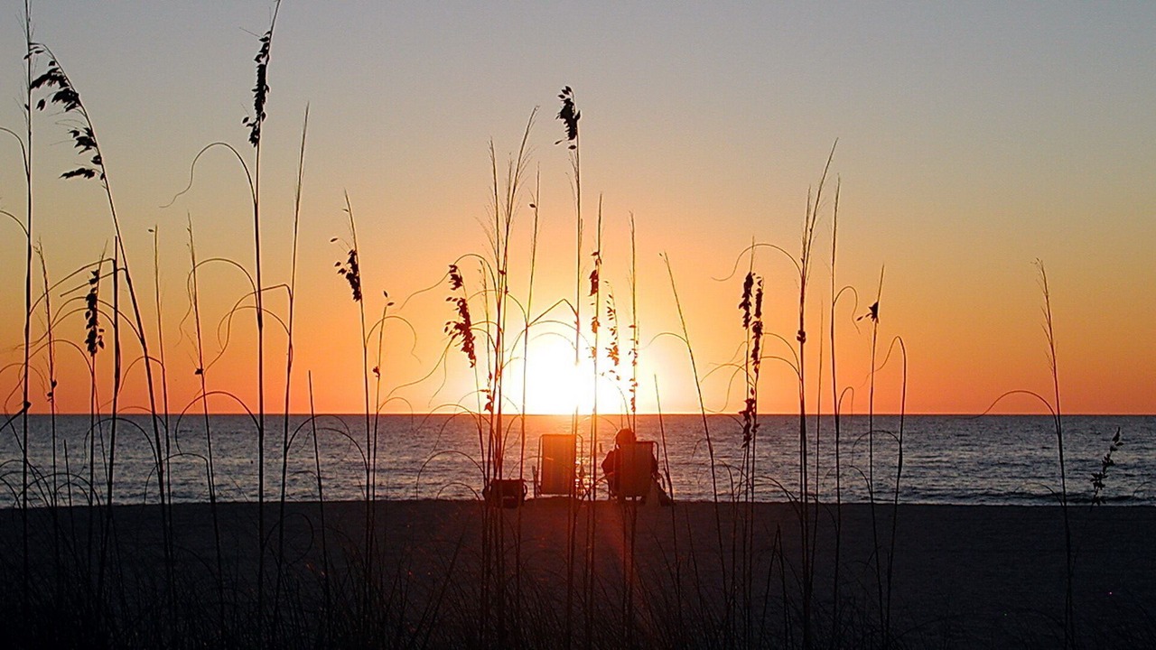 Photo of Others in North Redington Beach