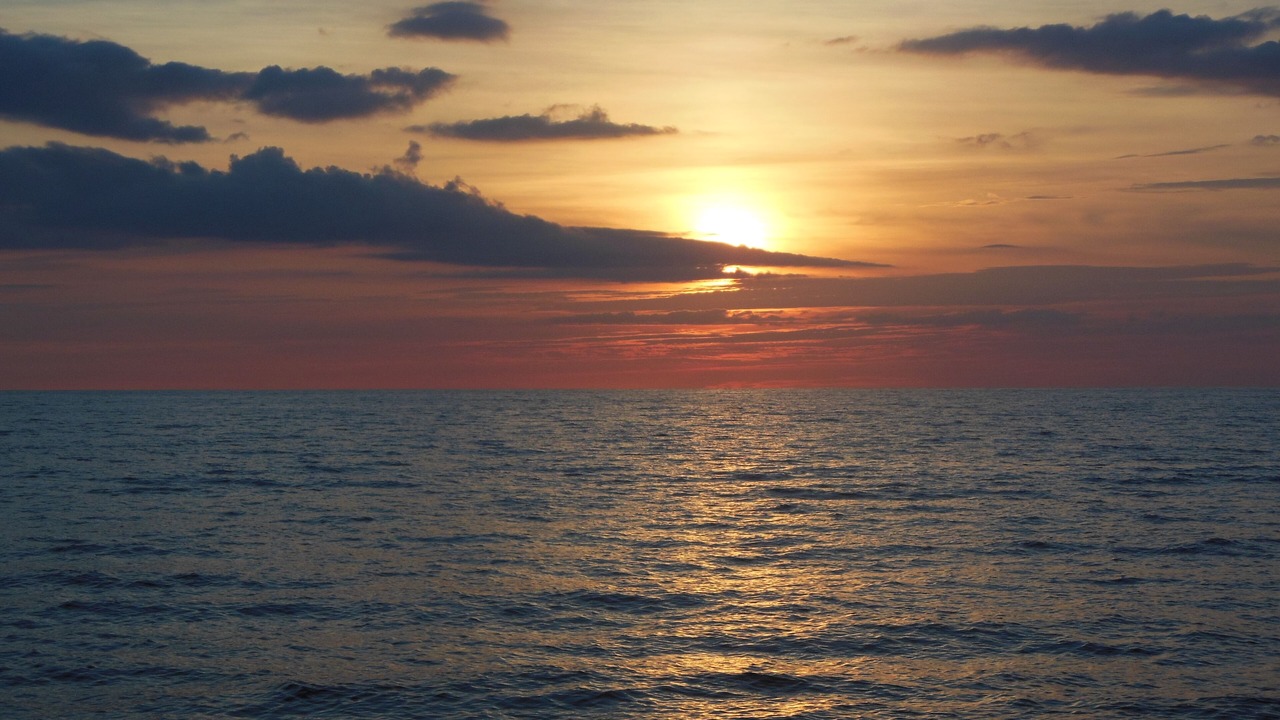 Photo of Others in Pensacola Beach