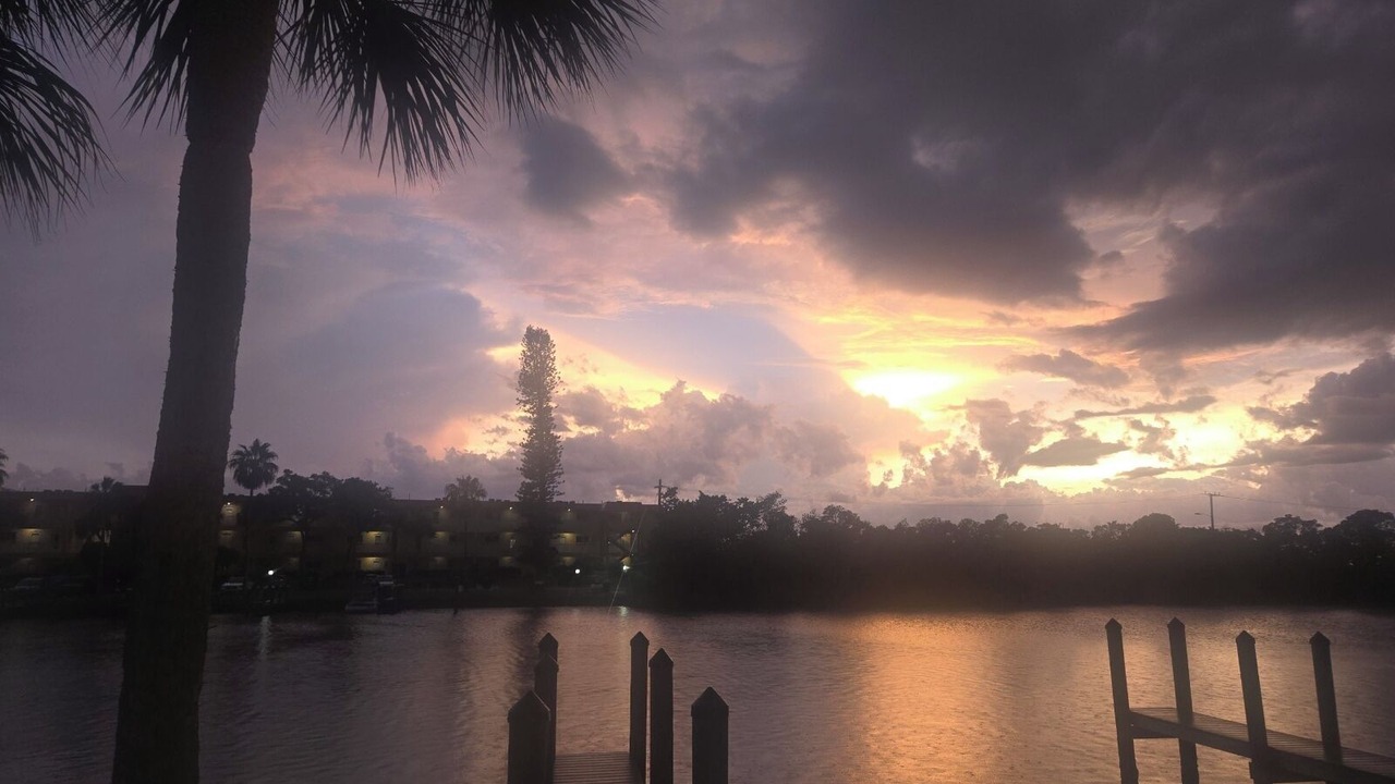 Photo of Others in Siesta Key