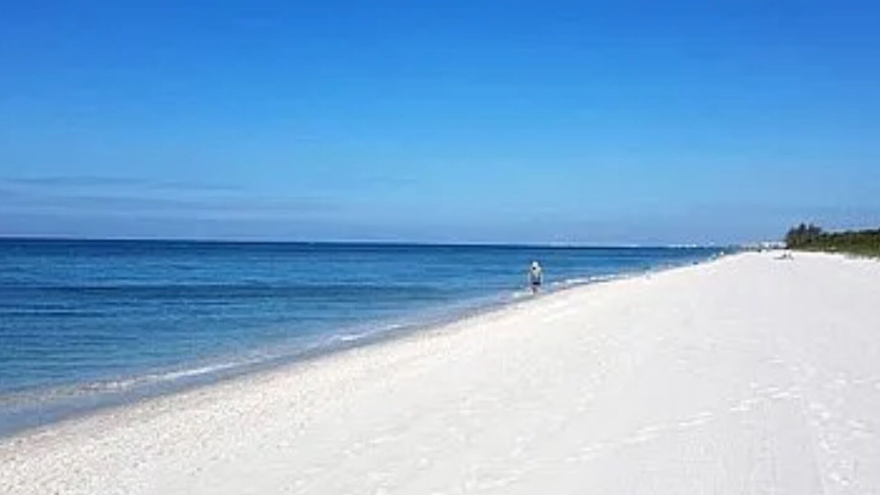 Photo of Others in Vanderbilt Beach