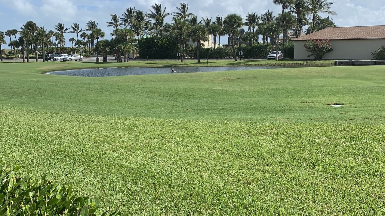 Photo of Others in Fort Pierce