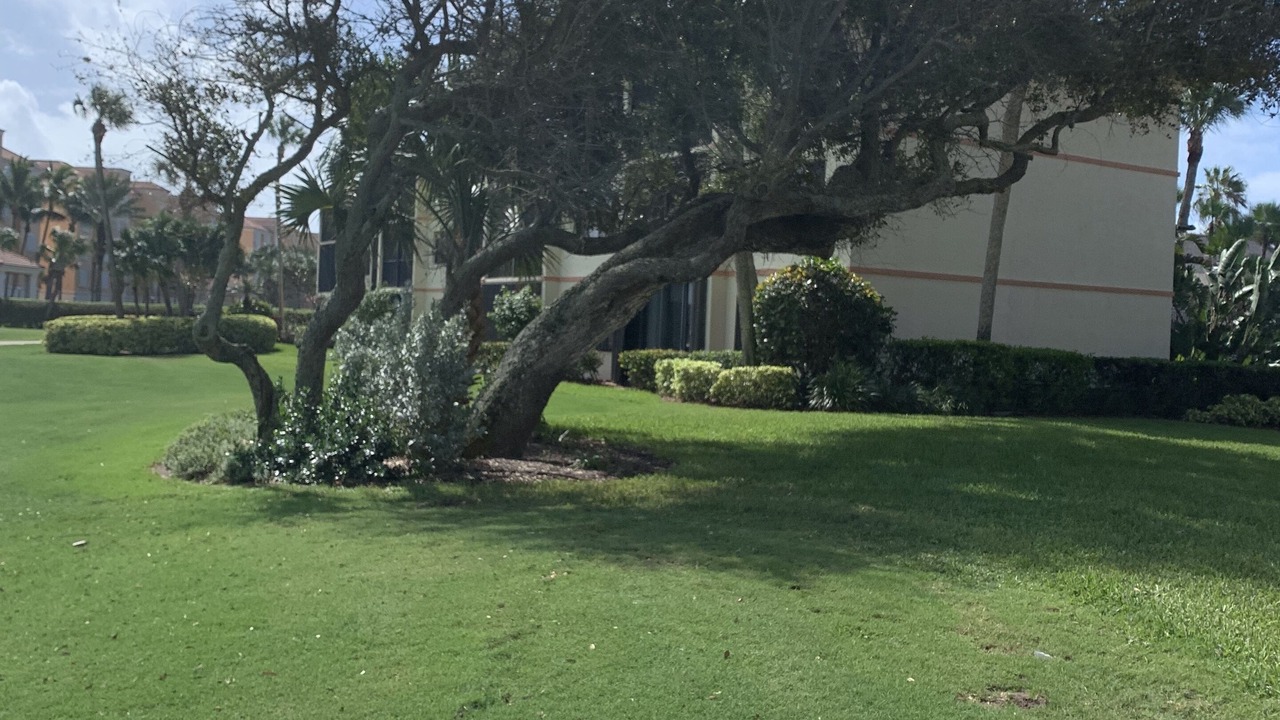 Photo of Outdoor in Fort Pierce