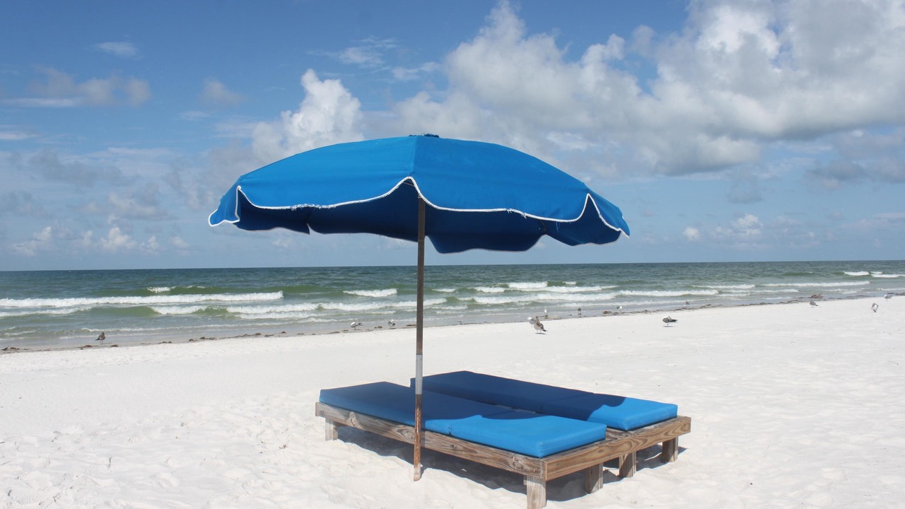 Photo of Others in Madeira Beach