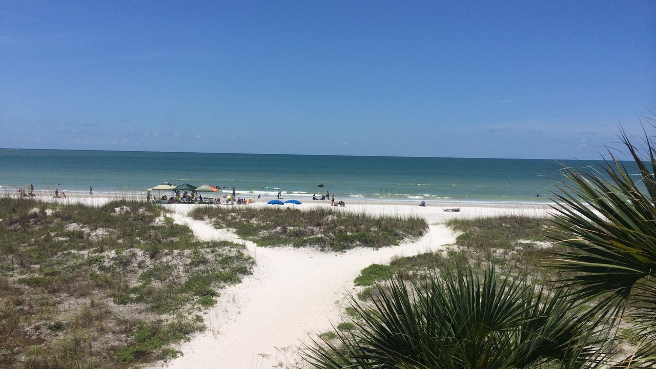 Photo of Others in Madeira Beach